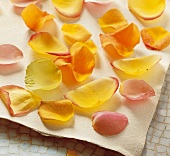 frische gelbe, rosa, orange, Rosenblätter liegen auf Küchenpapier