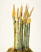 Weizenähren,Bambus,Moos,Blüten 