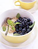 Oatmeal cereal with fresh blueberries in yellow bowl