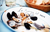 Muscheln und Brotkrümel auf einem Teller mit Meerjungfraumotiv