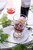Moskato-Rosa-Sorbet in einem Glas mit einer Wildrose dekoriert