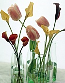 Close-up of pink tulips with yellow and red callas lily in glass vase