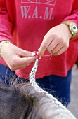 Einem Pony wird ein Zopf geflochten (Close up)