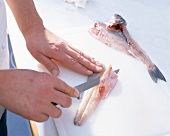 Fish being filleted with knife