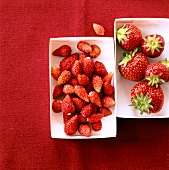 Erdbeeren in einer Schale,close up