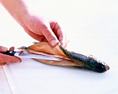 Trout being de-boned with knife