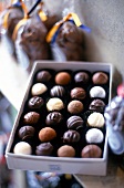 Various chocolate truffles in box