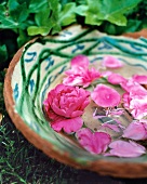 Close-up of pink rose petals floating in water in a earthenware bowl