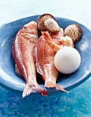 Close-up of protein rich food like fish, egg, shrimp and shellfish in blue bowl