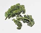 Close-up of kale leaves on white background