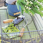 Gartenutenslilien, kleine Schaufel + Forke, blauer Blecheimer