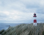Sylter Küste am Ellenbogen in List, Dünenlandschaft mit Leuchtturm, Sylt