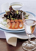 Lachs mit Eichblatt-Gurken-Salat auf Koriander-Schmand