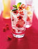 Glas mit Eiswürfeln mit Blütenblättern, Nelkenwurz, Eisblume
