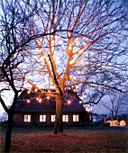 Altes Wohnhaus unter Baum mit Lichterkette. Winterlich.