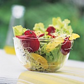 Blattsalat mit Roter Bete und Orangenfilet in einer Glasschüssel