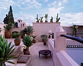 Gästehaus Dar Mouassine, Marrakesch, Marokko, Pflanzen, Dachterrasse