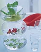 Stapelbare Glas-Kugelvasen mit schwimmenden Wasserpflanzen
