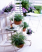 White staircase made of cast iron decorated with flowers and potted plants