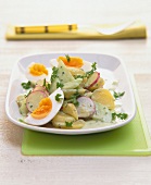 Mixed vegetable salad with boiled eggs on plate