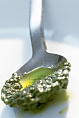 Pesto auf einem Löffel, close-up,  X 