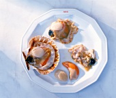 Inedible parts of shell fish and a shell without top on plate