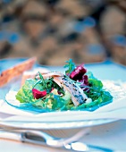 Fillet of trout with green salad on glass plate