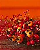Close-up of bunch of fresh rosehips