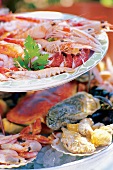 Close-up of seafood platter with mussels and shrimp