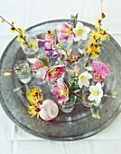 Various sprigs of winter flowers in glass vases on a pewter plate