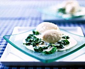 Close-up of pike dumplings with spinach on square glass plate