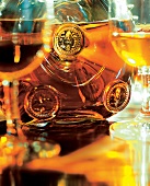 Close-up of cognac bottle