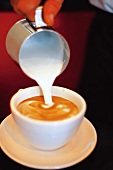 Close-up of milk poured in coffee