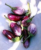 Several eggplants on white background