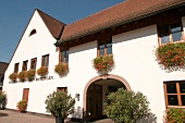 WG Britzingen Winzergenossenschaft Weinanbaugebiet Baden Weingut in Britzingen