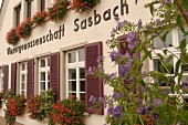 WG Sasbach am Kaiserstuhl Winzergenossenschaft Weinanbaugebiet Baden Weingut in Sasbach