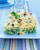 Cannelloni mit Gemüsefüllung, Pilze, Brokkoli, vegetarisch, vitaminreich
