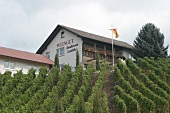 Andreas Laible Weingut in Durbach Baden-Württemberg