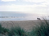 People doing horse riding at beach, Ireland
