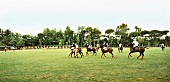 Polo players of Rolex polo team playing polo during tournament