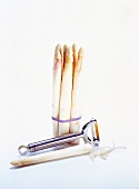Bunch of white asparagus with peeler on white background