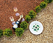 Crab tartare on ground with champagne bottle and glasses