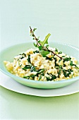 Close-up of risotto with rocket salad in bowl