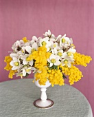 Christmas rose flowers and yellow acacia dealbata in vase