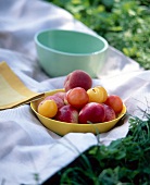Fruit tray on blanket in grass