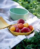 Schale mit Obst steht auf einem Tuch im Gras