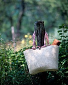 Tasche aus Korbgeflecht mit Picknick Utensilien hängt am Zaunpfosten