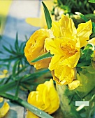 Close-up of yellow tulip and ranunculus flower
