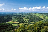 Slowenisch-Österreichische , Weinlandschaft