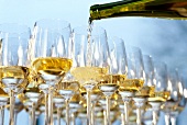 Close-up of Riesling white wine in glasses